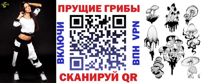 Псилоцибиновые грибы Cubensis  blacksprut вход  Оханск 